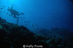 Taken with Nikon D70 at 50 Ft with Ambient light, F/3.5 1... by Kelly Foote 